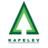 Логотип компании Капелев и М