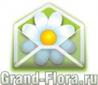 Логотип компании Доставка цветов Гранд Флора (ф-л г.Гурьевск)